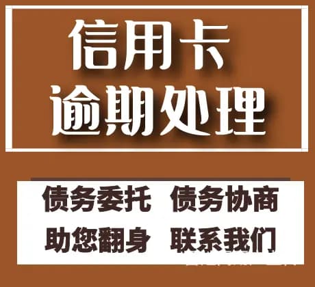 伊犁网贷逾期信用卡延期还款债务规划 - 图片 3